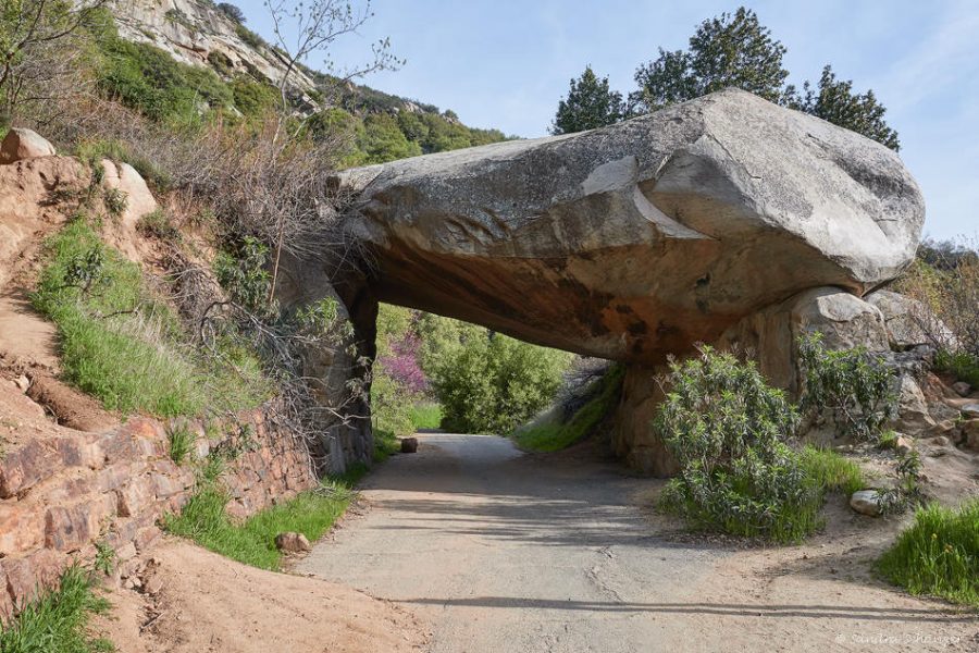 Sequoia Nationalpark